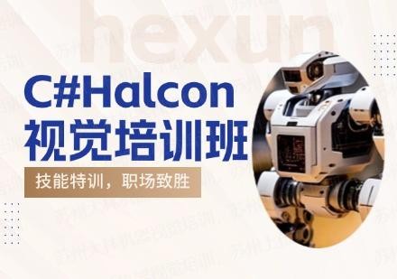 C#Halcon视觉培训班